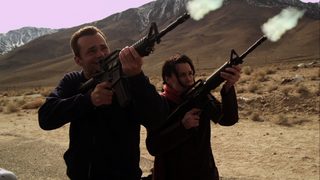 Camel Spiders still 3