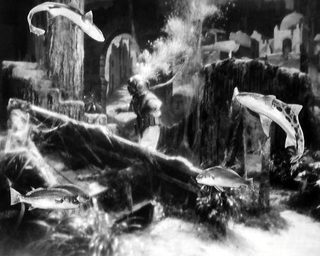Revenge of the Creature still 1