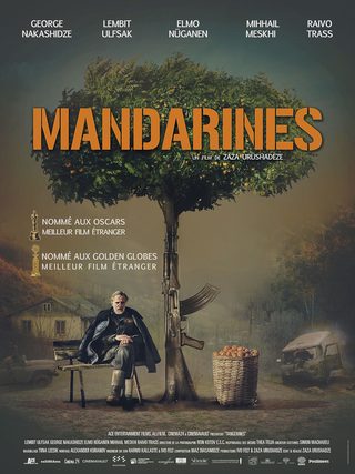 Tangerines still 7