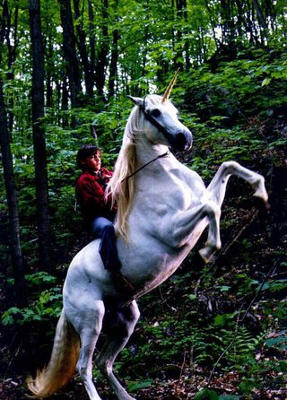 Nico the Unicorn still 3