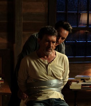 Black Butterfly still 7