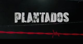 Plantados still 4