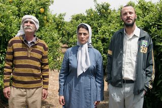 Lemon Tree still 2