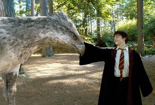 Harry Potter and the Prisoner of Azkaban still 4