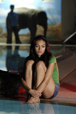 The Elephant King still 3