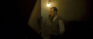 Earwig still 3