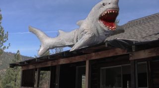 Land Shark still 3