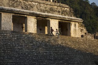Museo still 6