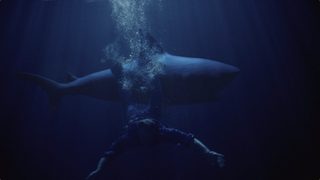 Shark Lake still 3