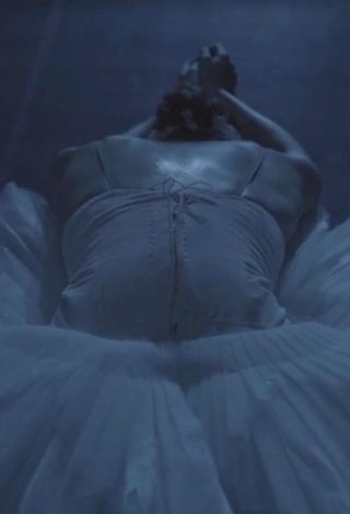 Joy Womack: The White Swan still 8