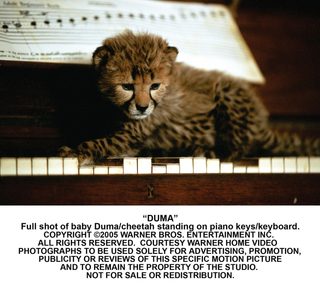 Duma still 8