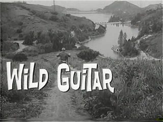Wild Guitar still 8