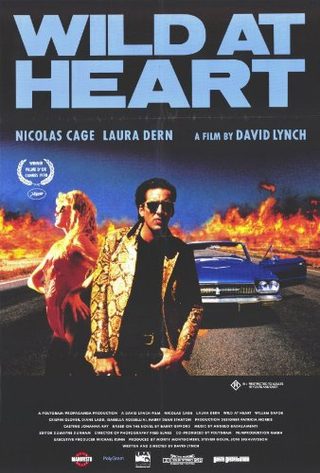 Wild at Heart still 6