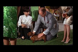 The Ugly Dachshund still 8
