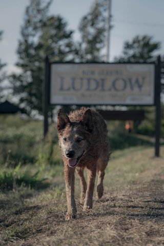 Pet Sematary: Bloodlines still 3
