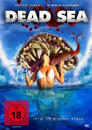 Dead Sea still 1