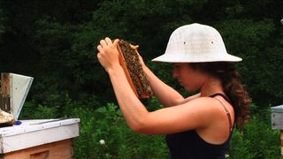 Vanishing of the Bees still 2