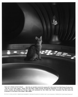 The Cat from Outer Space still 1