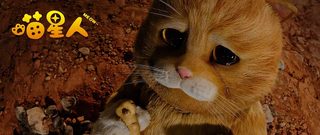 Meow still 5