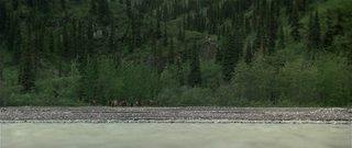 The Clan of the Cave Bear still 4