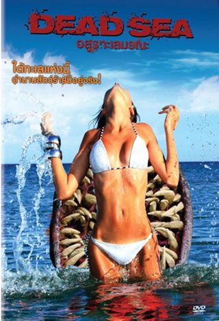 Dead Sea still 2