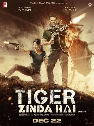 Tiger Zinda Hai still 6