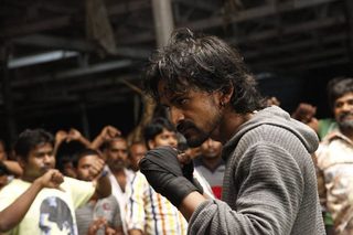 Boxer still 4