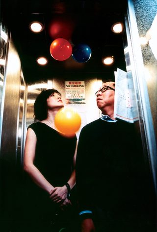 Sparrow still 1