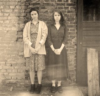 The Fox still 1
