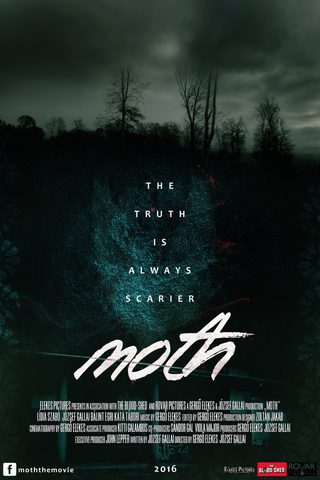 Moth still 3