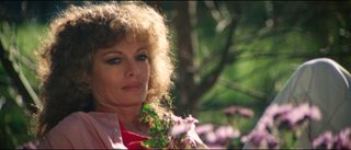 Harlequin still 8