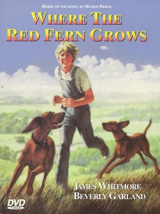 Where the Red Fern Grows still 2