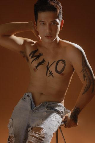 Son of Macho Dancer still 6