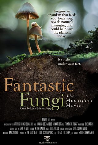 Fantastic Fungi still 5