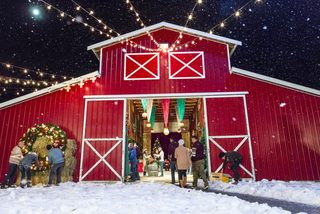 Christmas in Evergreen still 7