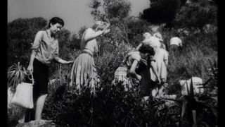 Horrors of Spider Island still 7