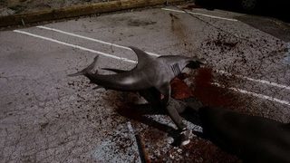 Sharknado still 8