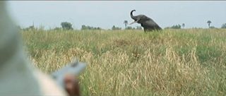 Africa Addio still 4