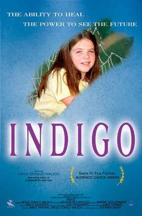 Indigo still 1