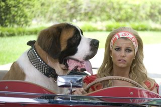 Private Valentine: Blonde & Dangerous still 2