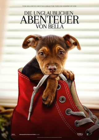 A Dog's Way Home still 5