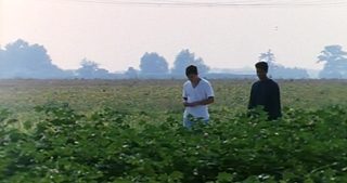 The Delta still 5
