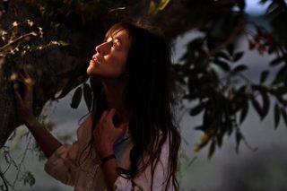 The Tree still 1