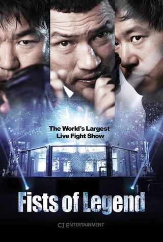 Fists of Legend still 8