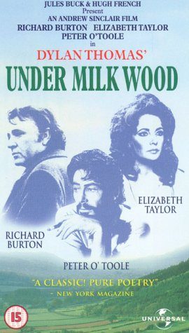 Under Milk Wood still 3