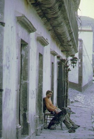 The Mexican still 4