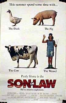 Son in Law still 2