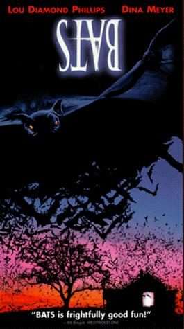 Bats still 7
