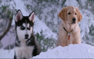 Snow Buddies still 6