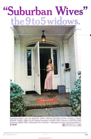 Suburban Wives still 2